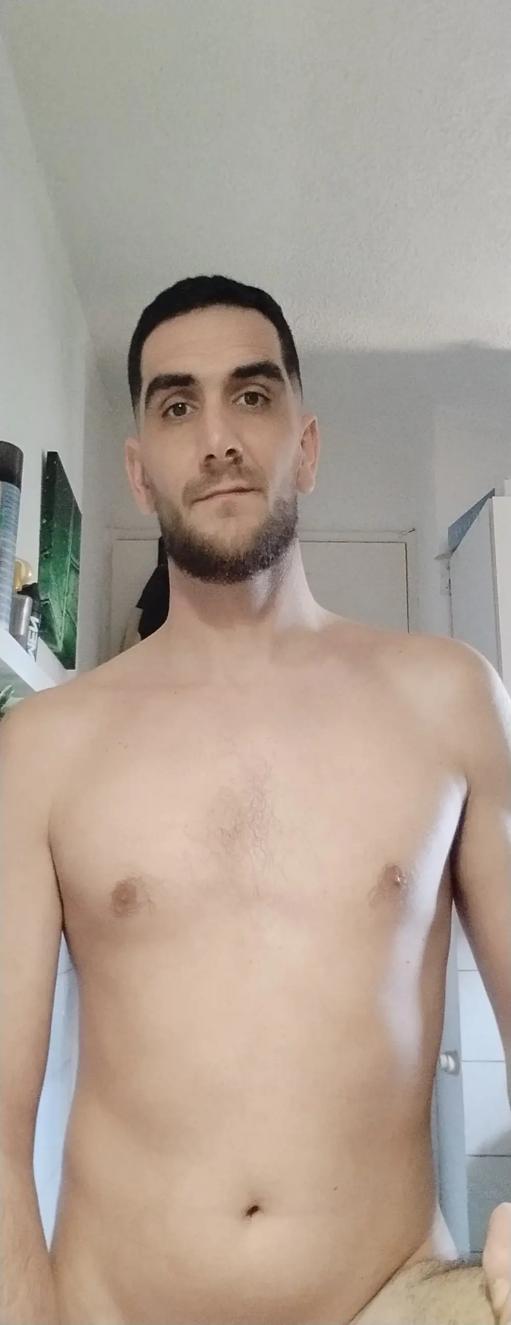 Anthopassif84