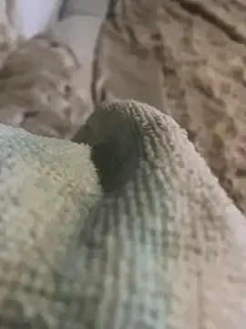 Stripchat Free Live Porn of Dadou950