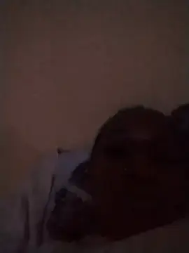 Stripchat Best live sex cam show of Xestye