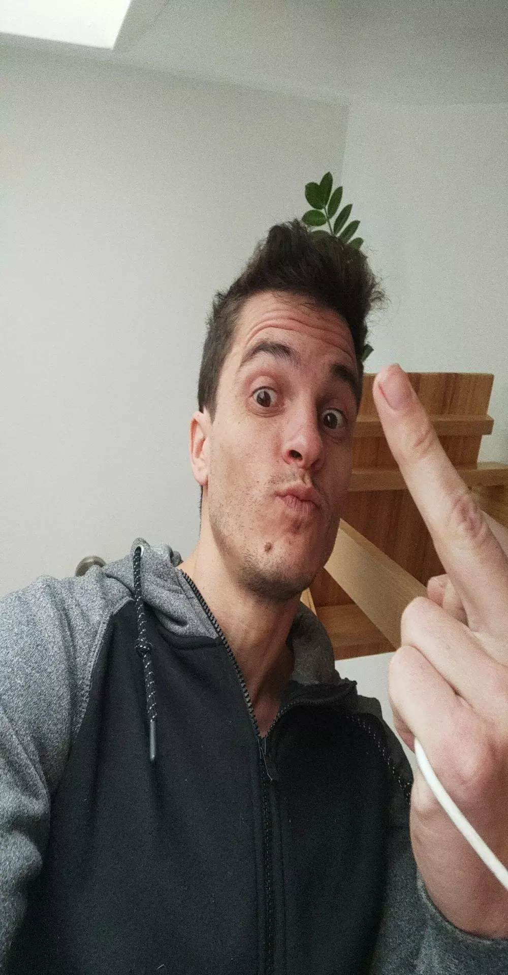HeteroOli
