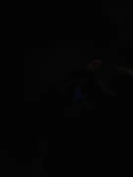 Stripchat Best live sex cam show of BlackD4uxo
