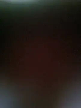 Stripchat Best Webcam of Loytder