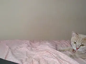 Stripchat Live Sex of Just_alice
