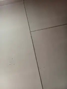 Stripchat Best Webcam of Babybigbutt