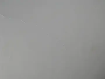 Stripchat Sex Cam of Barbara_sweet4