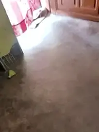 Stripchat Live Sex Cam of Lakhsmi