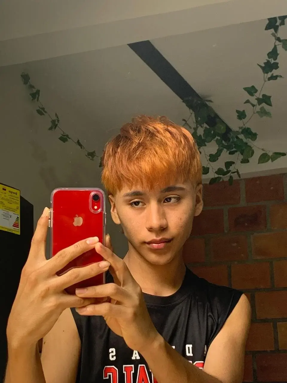 Tommyfoxboy