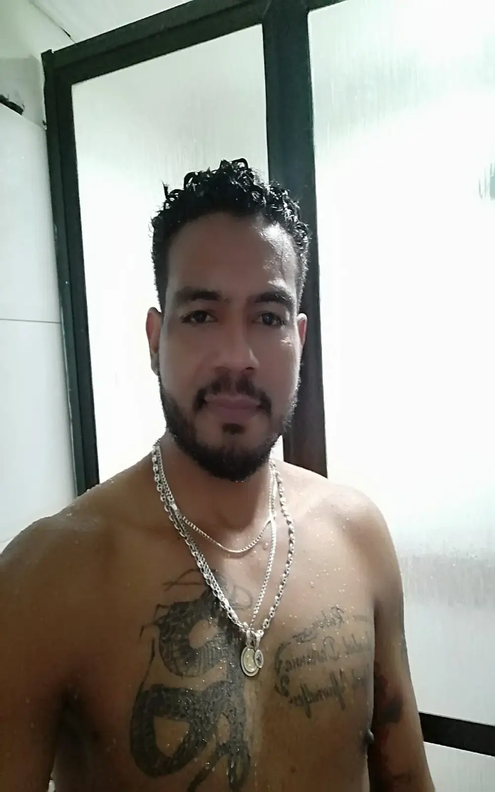 BladeFoxxx1