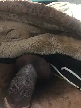 Stripchat Adult Webcams of FuckBuddy_Raw