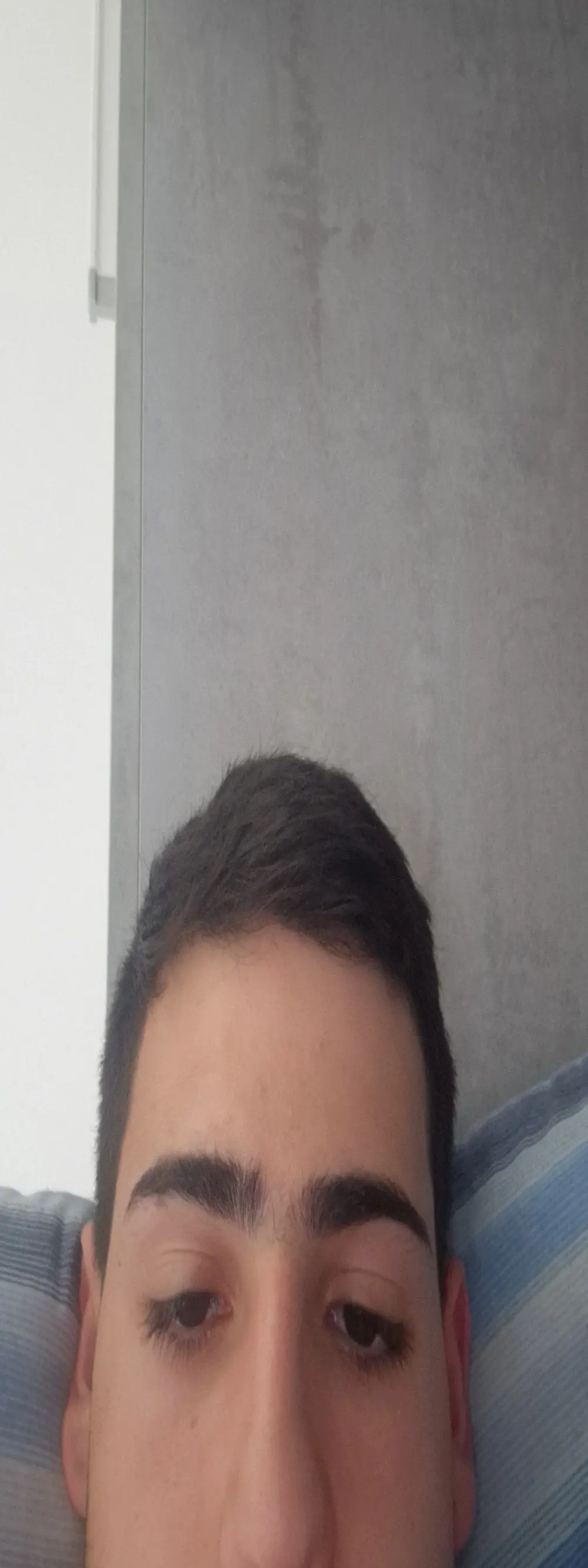 Nicolas3091