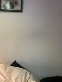 Stripchat Live Sex of kamel-ayesha