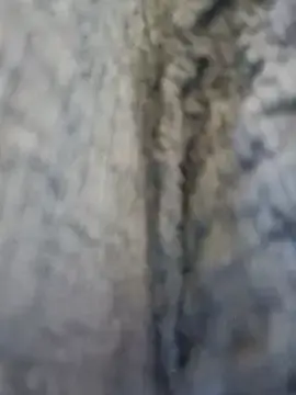 Stripchat Live Porn of misshot_02