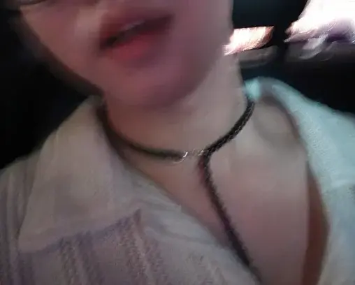 bebikoie3778
