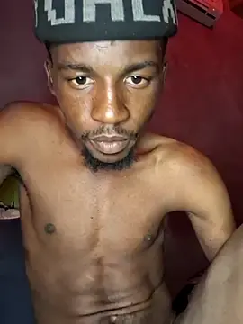 Stripchat Adult Webcams of Tyler4bvhhib