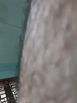 Stripchat Free Live Porn of Hairy_hunk32