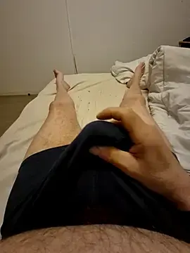 Stripchat Best Webcam of Bretoncool
