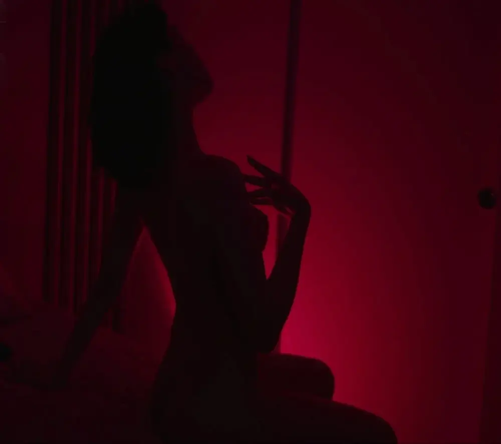 _curiouskitten_