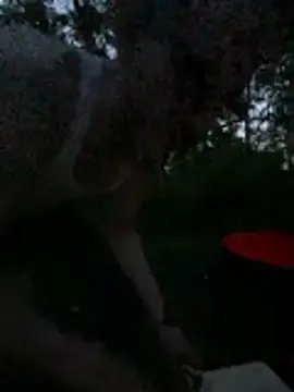 Stripchat Live Sex of teninchty