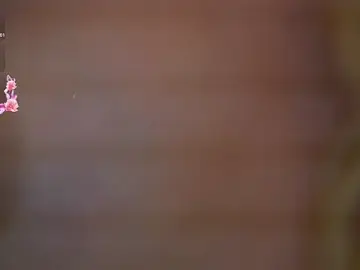 Stripchat Live Sex Cam of KatieCutieXooo