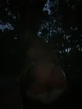 Stripchat Best live sex cam show of Mydreams69
