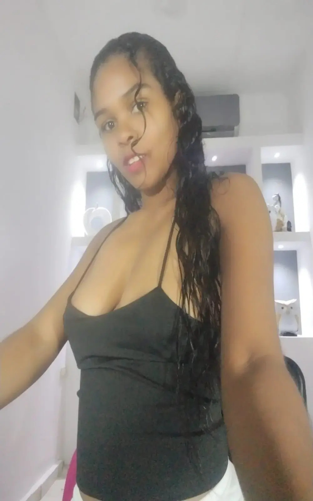 Sashabreck