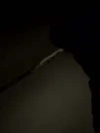 Stripchat Live Porn of chrisalmeid_
