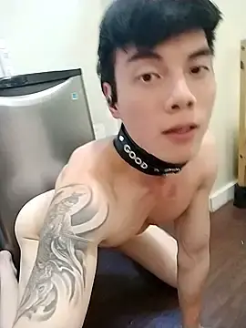 Stripchat Free Porn Cam of Allen8707