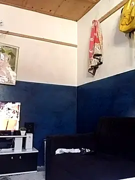 Stripchat Free Porn Cam of Hotdick254