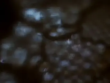 Stripchat Watch Live Sex Cams of WhisperInTheDarkk