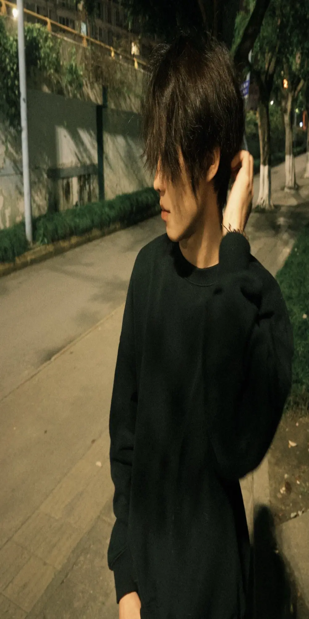 buding-001