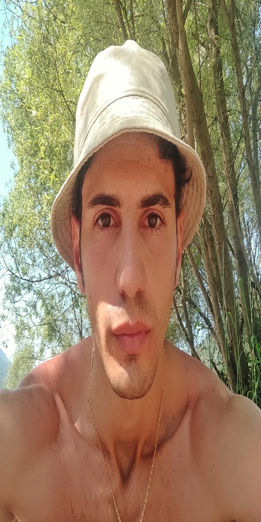 simodepia