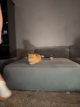 Stripchat Sex Cam of Bastet