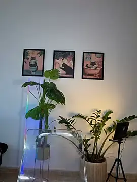 Stripchat Free Porn Cam of Adriennesexxx