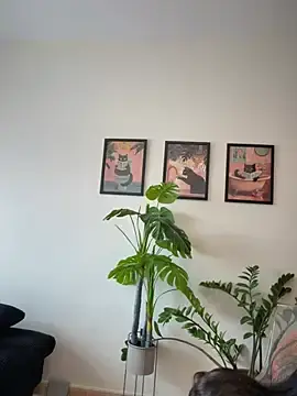 Stripchat Free Porn Cam of Adriennesexxx