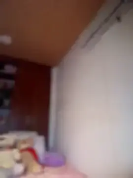 Stripchat Sex Cam of Veronica_Wins_