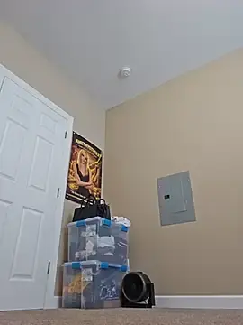 Stripchat Adult Webcam of AmethystFoxx