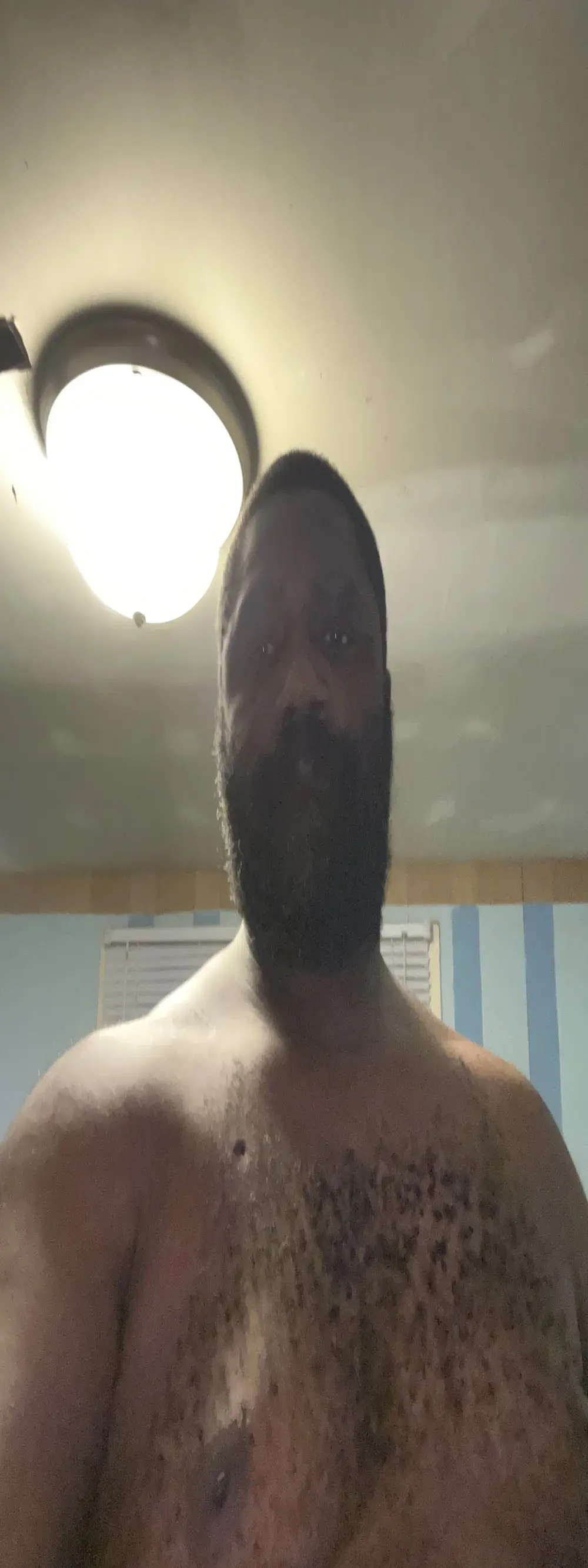 KOdaLion