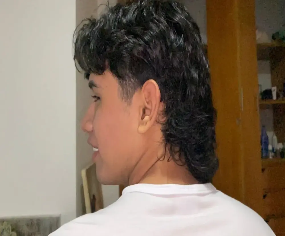 nau_fonseca1