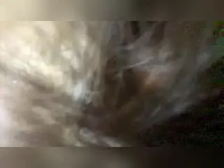 Xlovecam Sex Cam of DorineJennelle